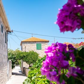 Apartmanok A Tenger Mellett Postira, Brac - 14822 Postira