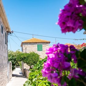 Apartmanok A Tenger Mellett Postira, Brac - 14822 Postira