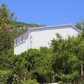 Nyaralóház Parkolóhellyel Orebic, Peljesac - 10165 Orebić