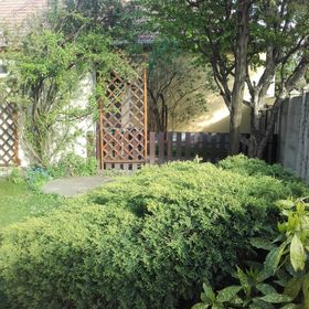 Hold-on Apartman Gyula