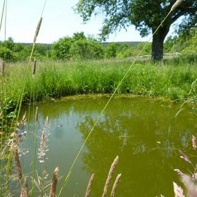 100Bárányos Vendégház Szalafő