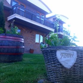 OwlCastle Vendégház Hajdúszoboszló