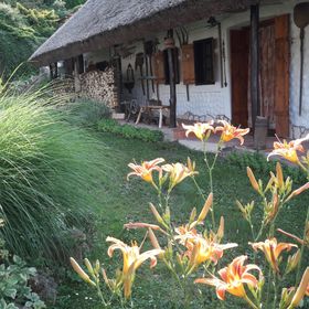 Nádas Vendégház és Wellness Nemesvita