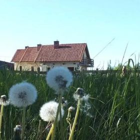 Domki na Mazurach Kurka Wodna Mikołajki