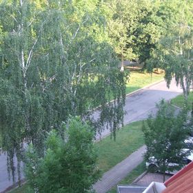 Napsugár Apartman Zalakaros