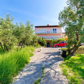 Apartments Opsenica Barbat