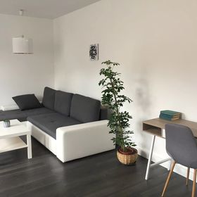 Rozmaring Apartman Pécs