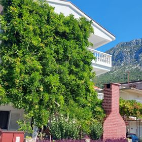 Apartmanok Parkolóhellyel Podaca, Makarska - 312 Podaca