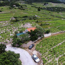 Nyaralóház Parkolóhellyel Dingac - Pristranj, Peljesac - 660 Dingač - Pristranj