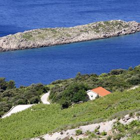 Nyaralóház Parkolóhellyel Dingac - Pristranj, Peljesac - 660 Dingač - Pristranj