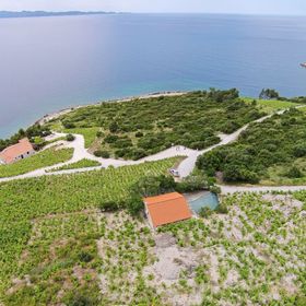 Nyaralóház Parkolóhellyel Dingac - Pristranj, Peljesac - 660 Dingač - Pristranj