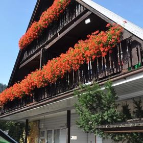 Domapol ścisłe centrum Zakopane