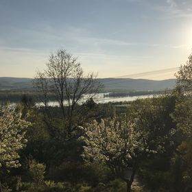 Orchidea Vendégház Zebegény