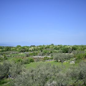 Apartment Lucy Bajčići