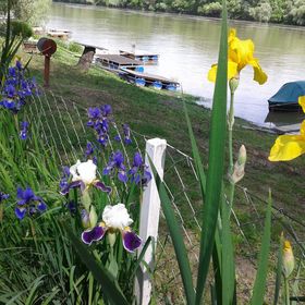 Anita Vendégház Szeged