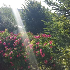 Jurta Hotel Balatongyörök