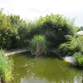 Cathrine Vendégház Poroszló