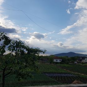 Főnix Vendégház Tiszaladány