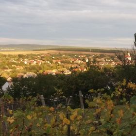 Bella Vendégház Etyek