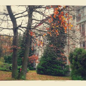 Fészek Apartman Sopron