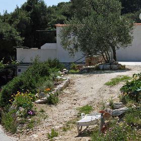 Apartmanok Parkolóhellyel Öböl Saplunara, Mljet - 4923 Saplunara