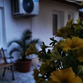 Meggyfa Vendégház Hajdúszoboszló