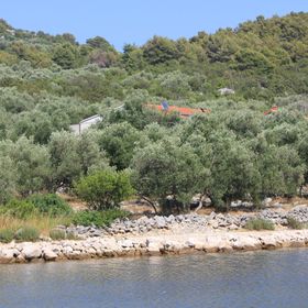 Robinzoni Apartmanok A Tenger Mellett Öböl Magrovica - Telascica, Dugi Otok - 8139 Magrovica - Telašćica