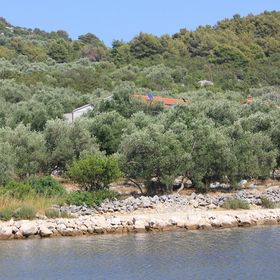 Robinzoni Apartmanok A Tenger Mellett Öböl Magrovica - Telascica, Dugi Otok - 8139 Magrovica - Telašćica