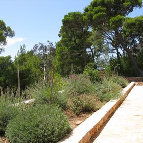 Apartmanok Parkolóhellyel Sveta Nedilja, Hvar - 14086 Sveta Nedilja