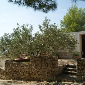 Robinzoni Apartmanok A Tenger Mellett Zavala, Hvar - 15357 Zavala