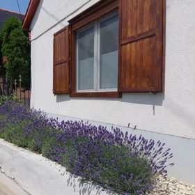 Fehér Szeder Vendégház Csopak