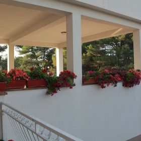 Apartmanok Parkolóhellyel Brodarica, Sibenik - 15708 Brodarica