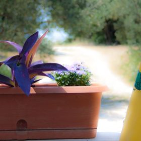 Apartmanok Parkolóhellyel Podaca, Makarska - 15748 Podaca