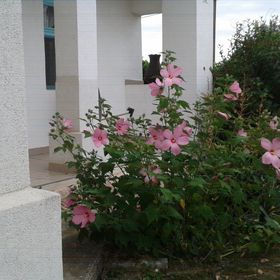 Kérész Vendégház Tiszabábolna