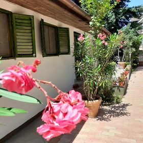 Aranyhíd Szálláshelyek Balatonboglár