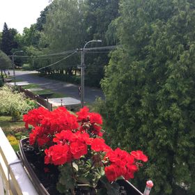 Jázmin Apartman Zalakaros