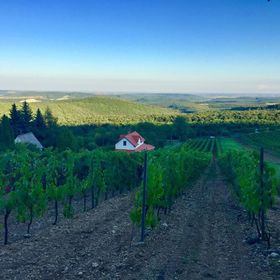Szőlőcskei Vendégház és Pihenő Eger
