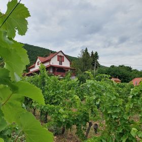 Szőlőcskei Vendégház és Pihenő Eger