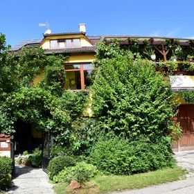 Penzion U Lesa České Budějovice