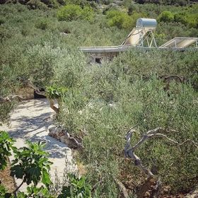 Robinzoni Nyaralóház Elszigetelt Helyen Povlja, Brac - 14500 Povlja