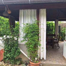 Apartmanok Parkolóhellyel Supetarska Draga - Donja, Rab - 15999 Supetarska Draga - Donja