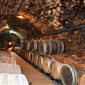 Vintop Karkó Pension & Restaurant Búč