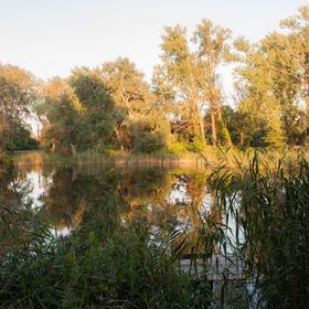 Házunk a Parton Dömsöd