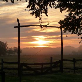 Walter Ranch Kaskantyú