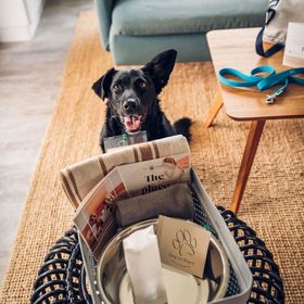 Pro Village - Franciska Major Vendégház Sopronkövesd