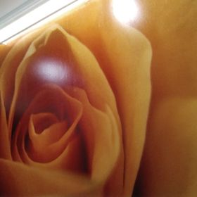 Rózsa Apartmanház Szeged