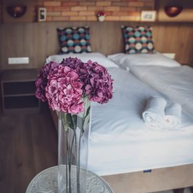 Dreko Panzió és Borbisztró Győrújbarát