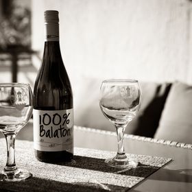 Hortenzia Apartman Alsóörs