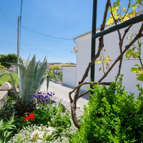 Apartments Slobodanka Lopar