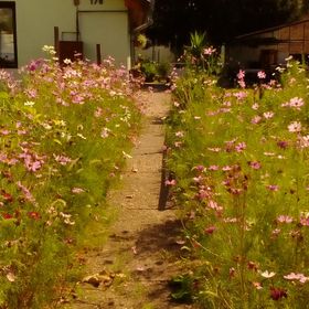 Dominikagarden Apartman Budapest
